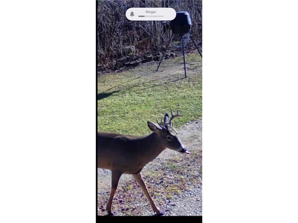 25388 County Road 523 Carpenter Twp MN 56639 - Deer Lake 7016687 image40