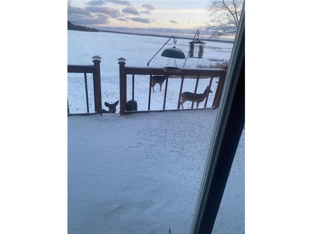 25388 County Road 523 Carpenter Twp MN 56639 - Deer Lake 7016687 image41