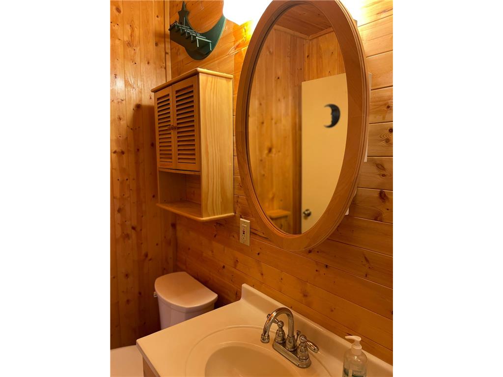 25393 Horn Drive Lake Emma Twp MN 56470 - Lower Bottle 7045003 image27
