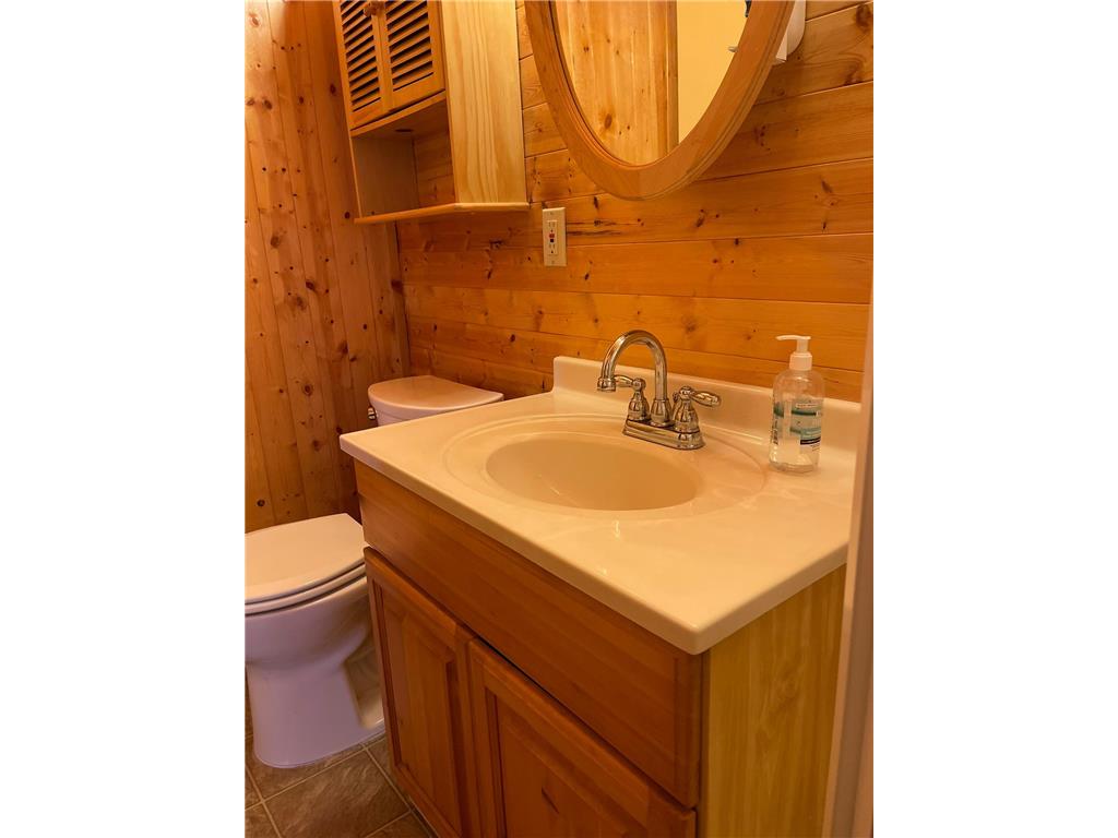 25393 Horn Drive Lake Emma Twp MN 56470 - Lower Bottle 7045003 image28