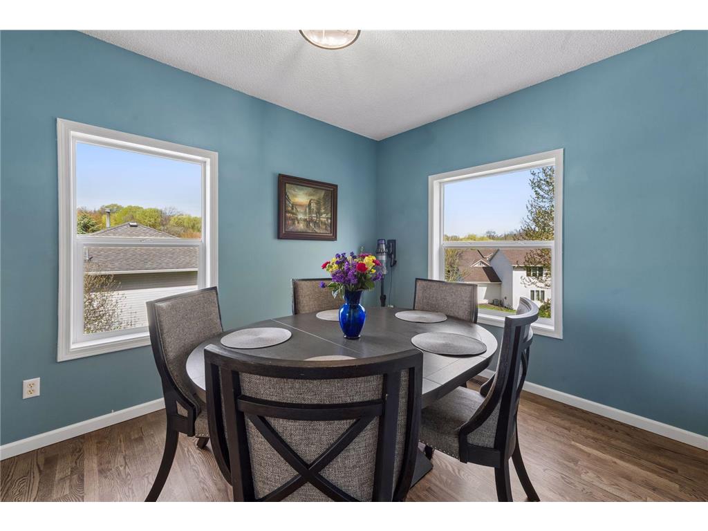 254 Jaspers Circle S Chaska MN 55318 7051809 image15