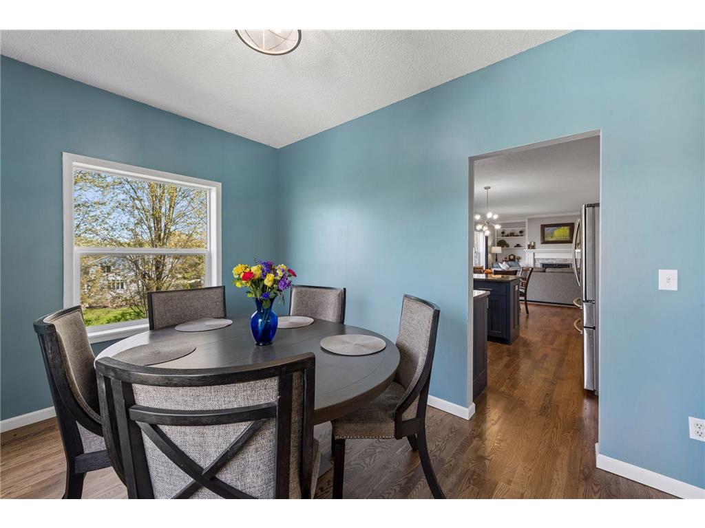 254 Jaspers Circle S Chaska MN 55318 7051809 image16