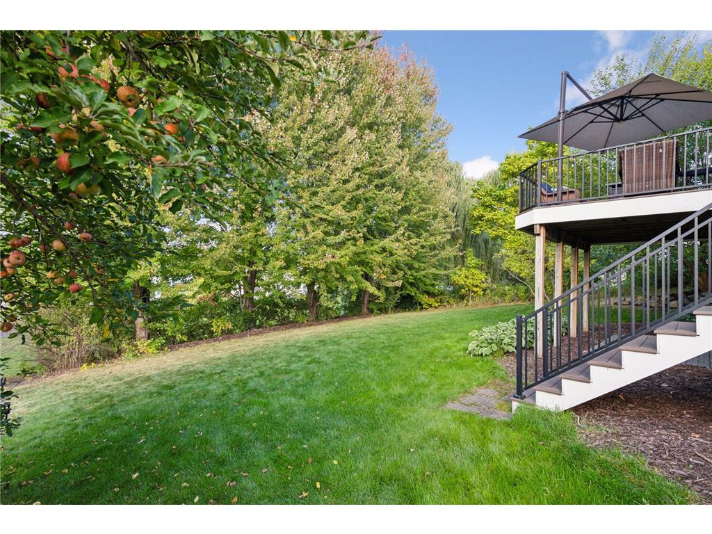 254 Jaspers Circle S Chaska MN 55318 7051809 image42