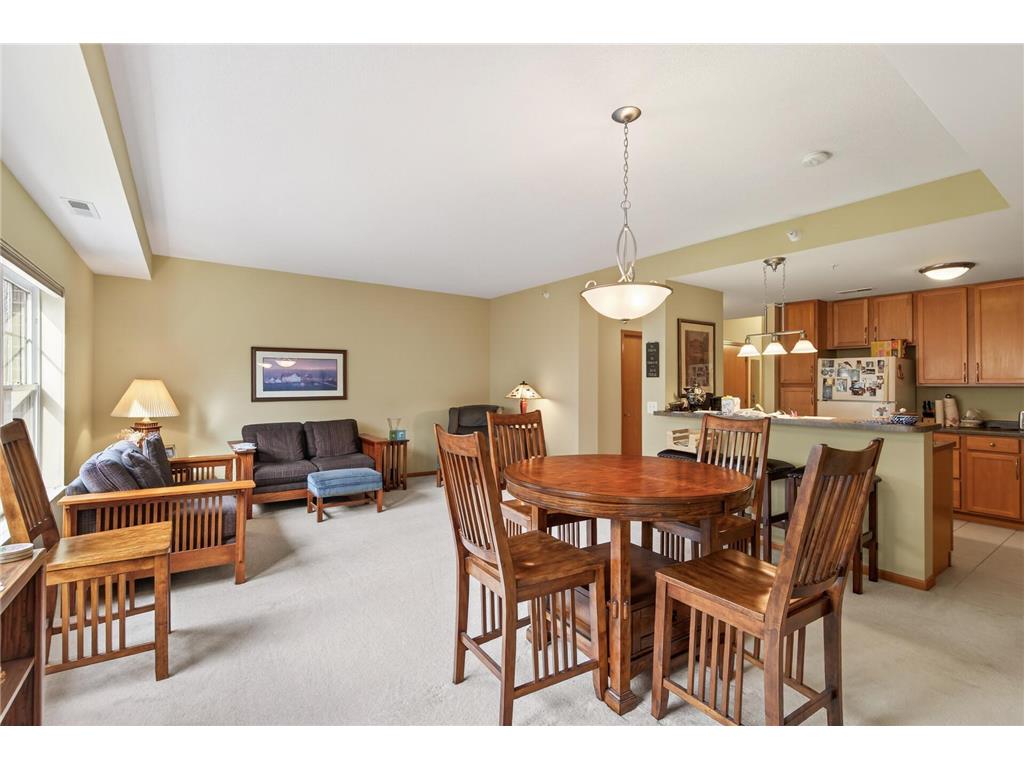 2540 38th Avenue NE #203 Saint Anthony MN 55421 7023905 image10