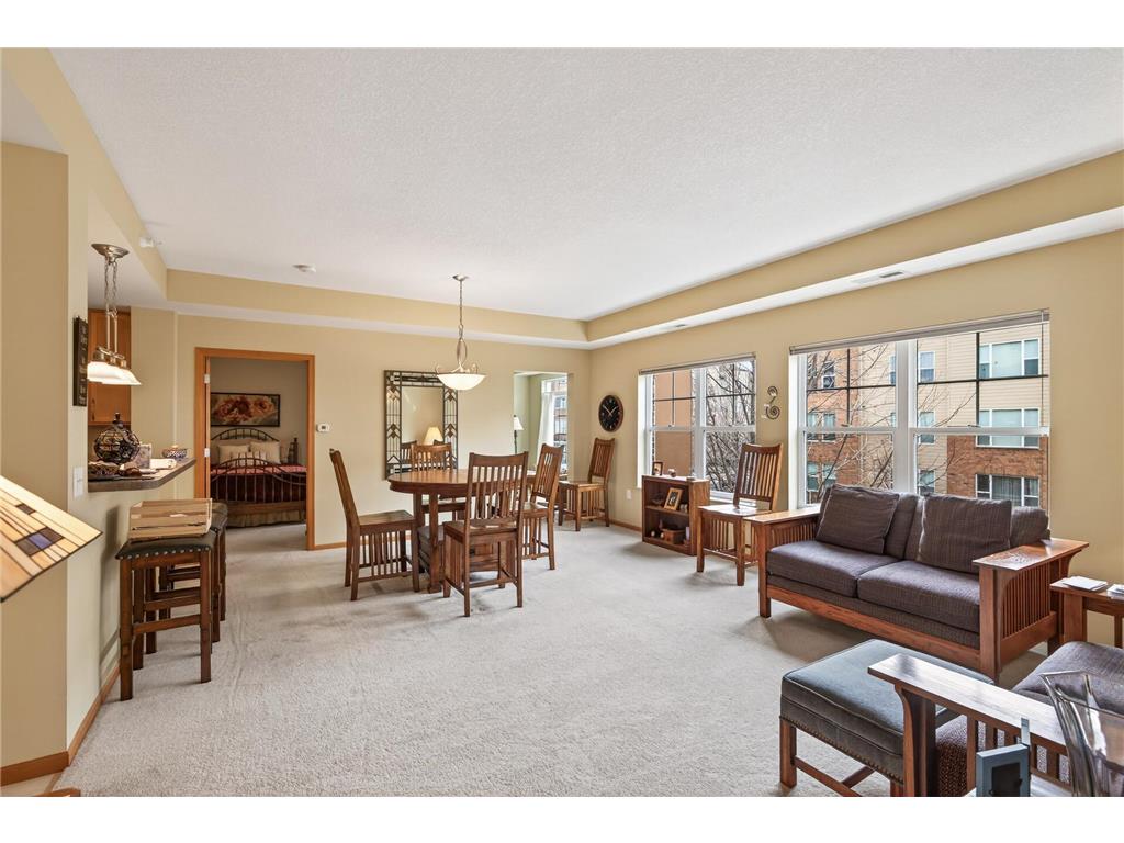 2540 38th Avenue NE #203 Saint Anthony MN 55421 7023905 image4
