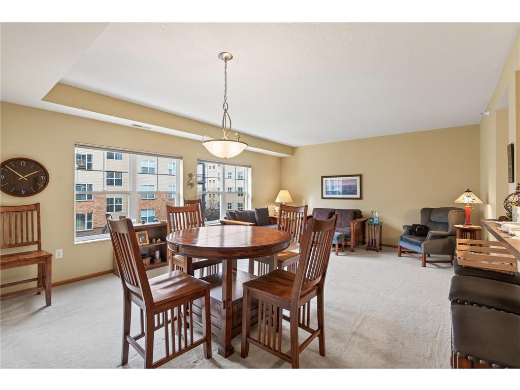 2540 38th Avenue NE #203 Saint Anthony MN 55421 7023905 image9