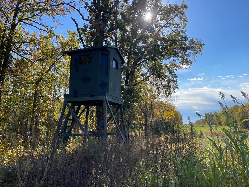 25403 270th Street Bear Creek Twp MN 56676 6614704 image1