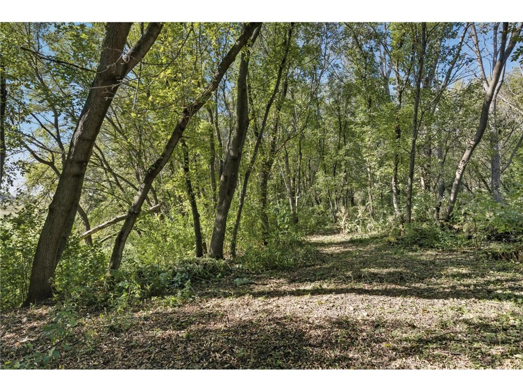 25415 Grail Court Wyoming MN 55092 6785233 image37