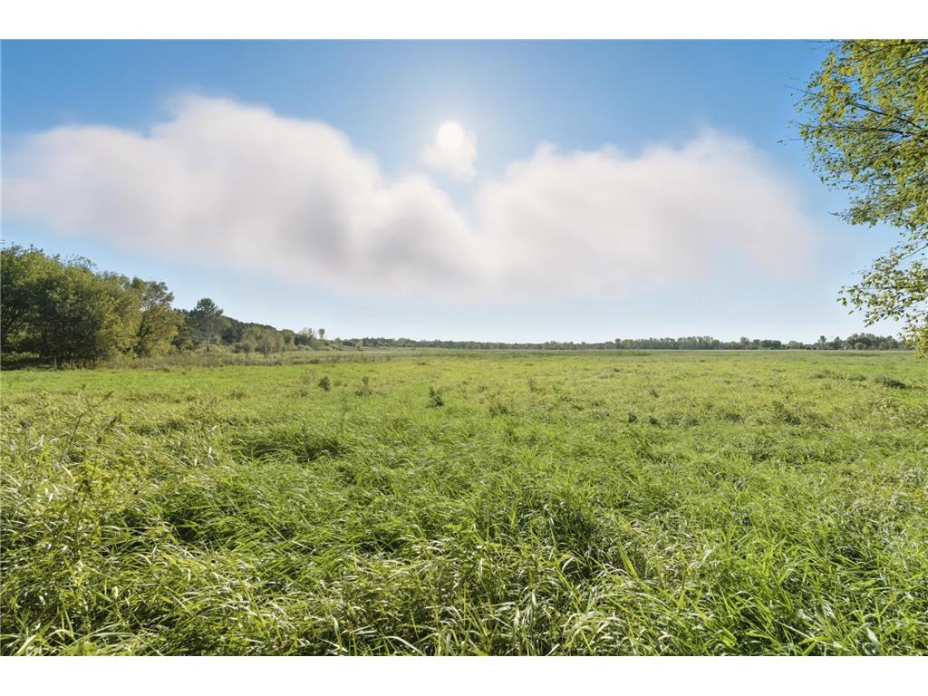 25415 Grail Court Wyoming MN 55092 6785233 image42
