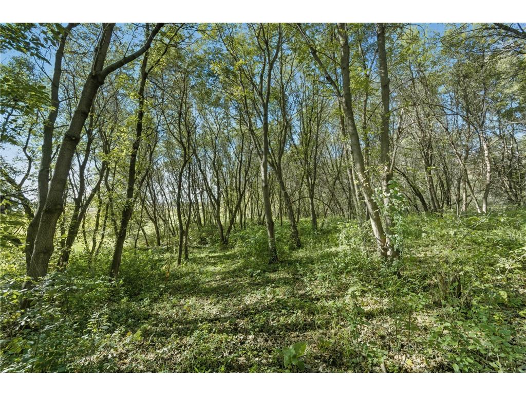 25415 Grail Court Wyoming MN 55092 6785233 image43