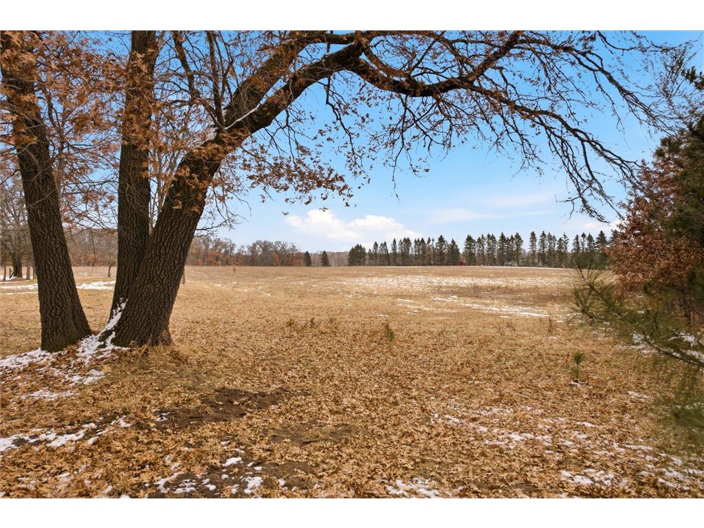 25431 Larch Street NW Athens Twp MN 55040 7033968 image14