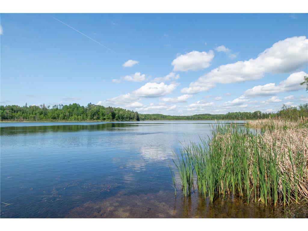 25440 O'Donnell Lane Bigfork MN 56628 - O'Donnell 7037240 image89