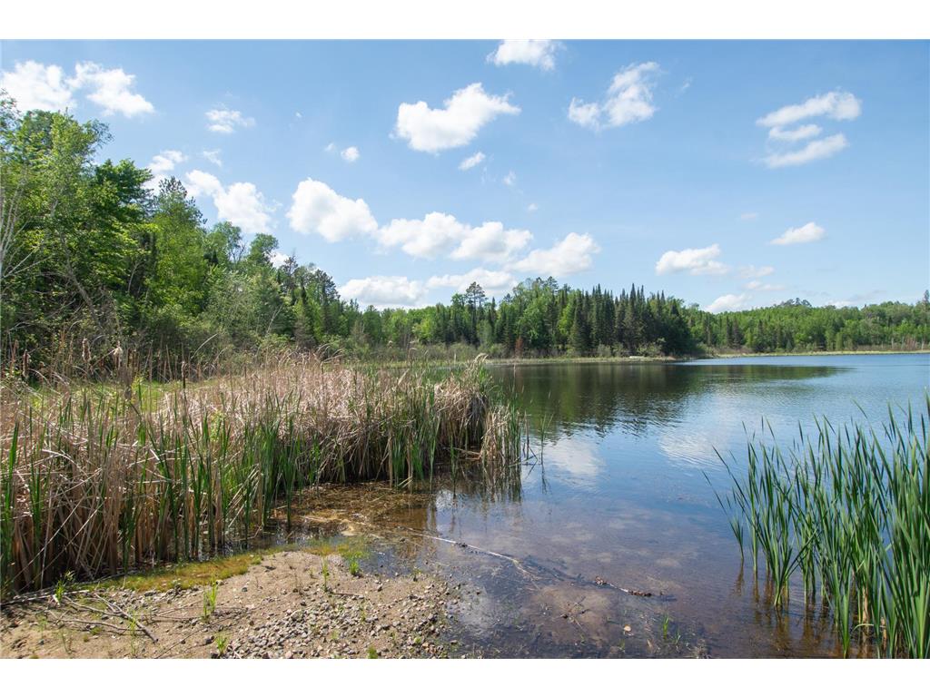 25440 O'Donnell Lane Bigfork MN 56628 - O'Donnell 7037240 image90