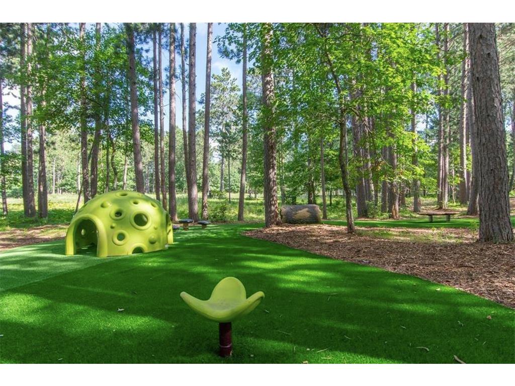 25447 Twin Leaf Circle Nisswa MN 56468 6565630 image17