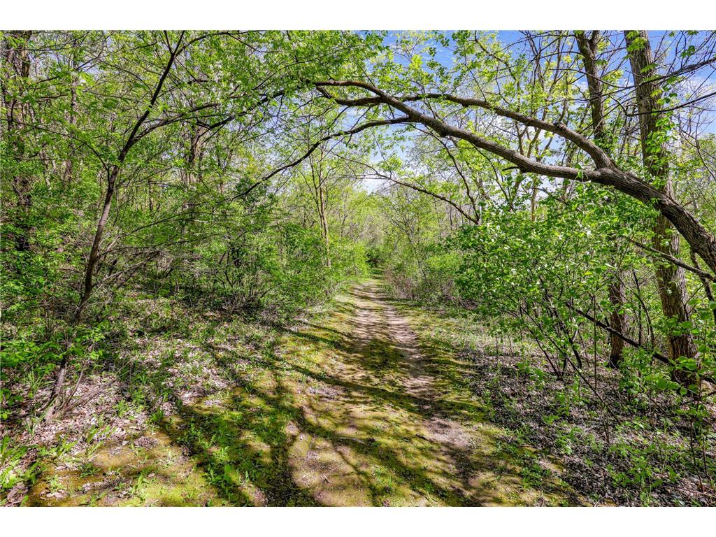 25451 Dakota Avenue Elko New Market MN 55020 6716992 image44