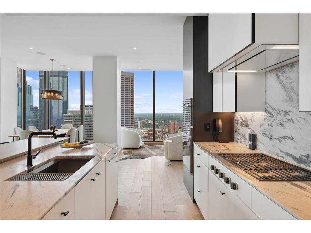 255 Hennepin Ave #3107 Minneapolis MN 55401 7083005 image10