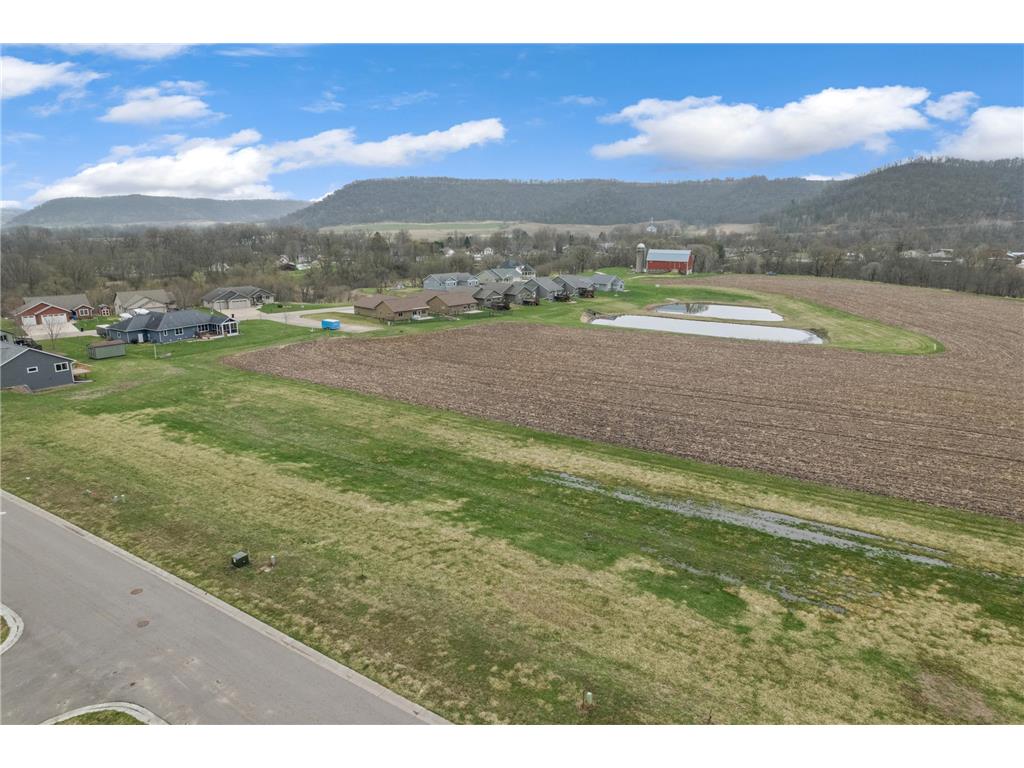 255 Pheasant Run Rollingstone MN 55959 7058621 image4