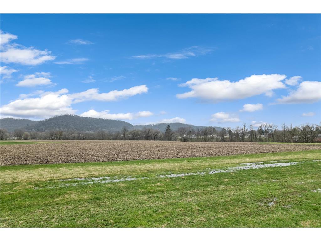 255 Pheasant Run Rollingstone MN 55959 7058621 image9