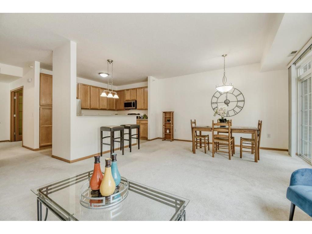 2550 38th Avenue NE #108 Saint Anthony MN 55421 7043785 image8