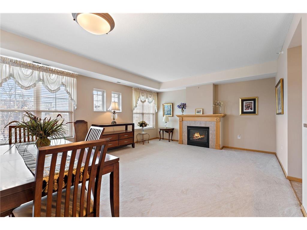 2550 38th Avenue NE #212 Saint Anthony MN 55421 6505788 image1