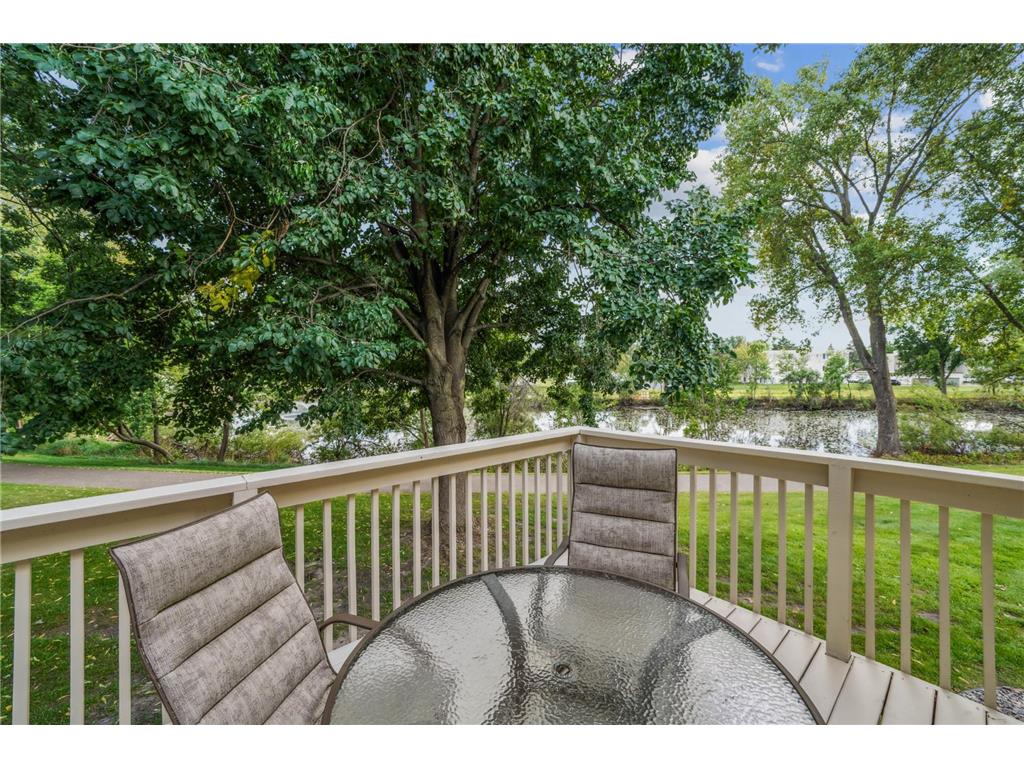2550 Moundsview Drive #49 Mounds View MN 55112 - Wood 6783865 image23