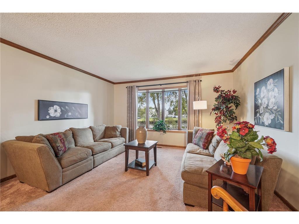 2550 Moundsview Drive #49 Mounds View MN 55112 - Wood 6783865 image5