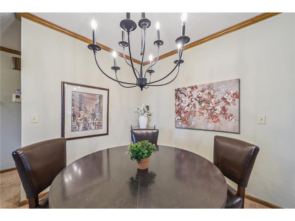 2550 Moundsview Drive #49 Mounds View MN 55112 - Wood 6783865 image9