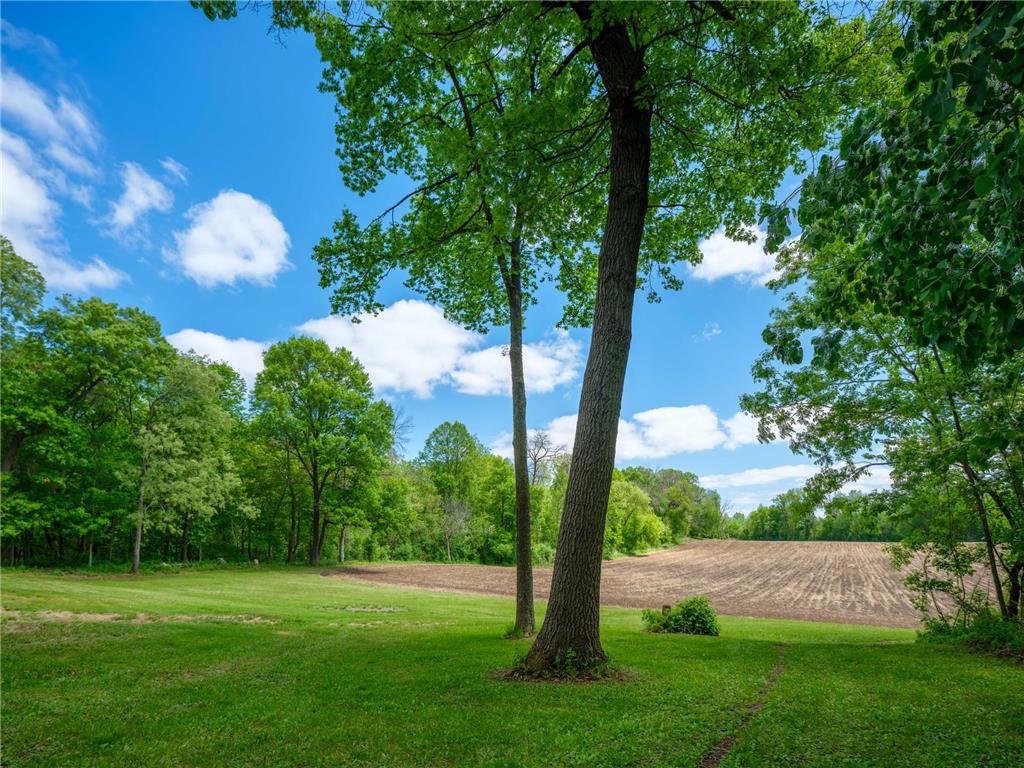 25517 520th Street Pine Island MN 55963 7076295 image15