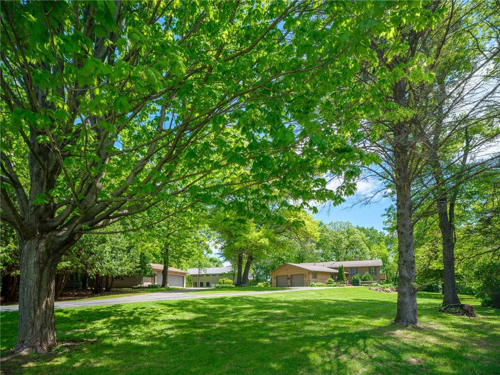 25517 520th Street Pine Island MN 55963 7076295 image3
