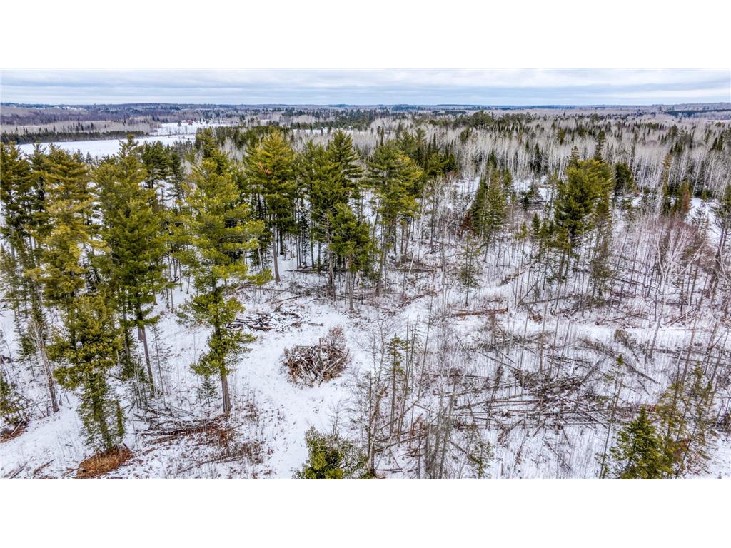 25524 Smokey Hollow Drive Helga Twp MN 56461 7054739 image14