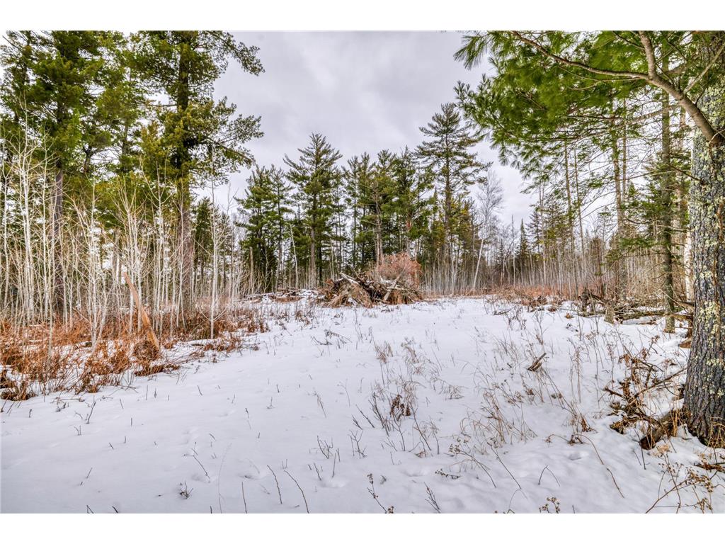 25524 Smokey Hollow Drive Helga Twp MN 56461 7054739 image16
