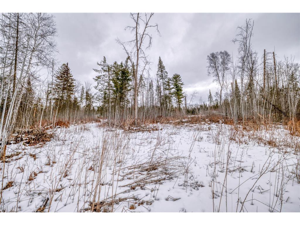 25524 Smokey Hollow Drive Helga Twp MN 56461 7054739 image17