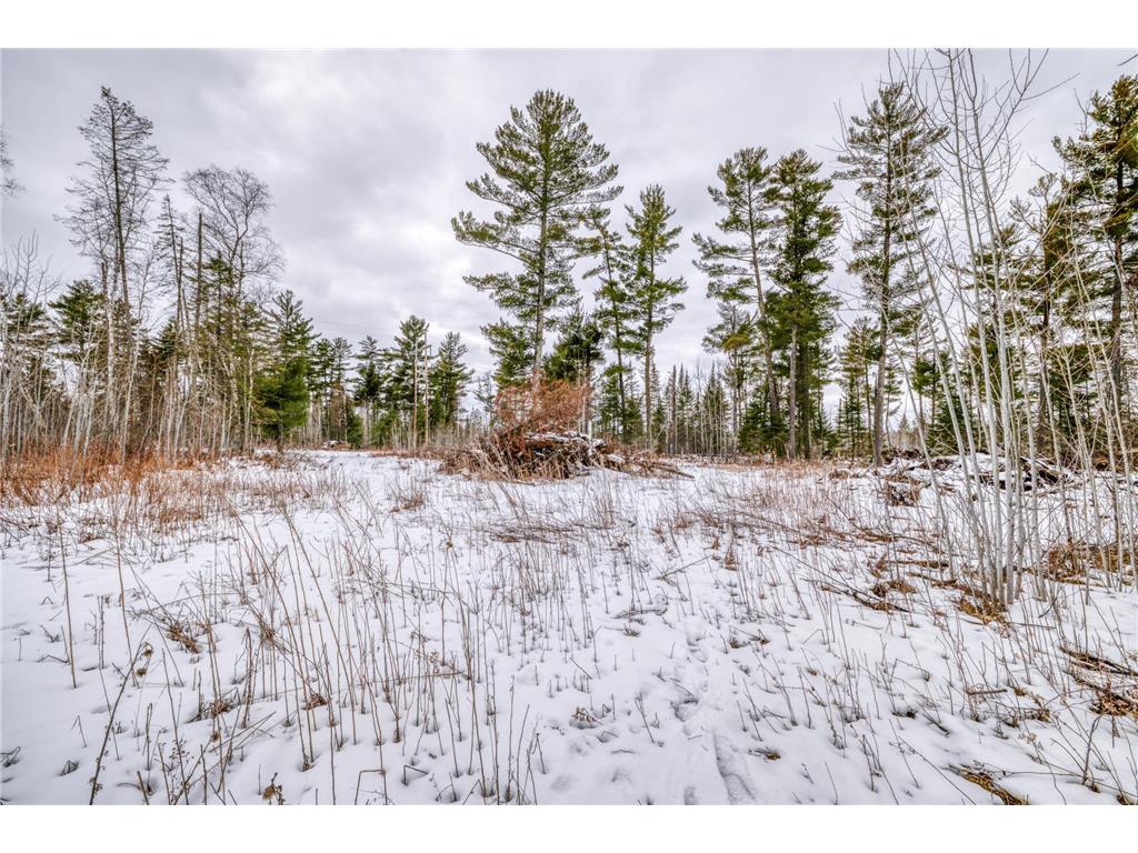 25524 Smokey Hollow Drive Helga Twp MN 56461 7054739 image18