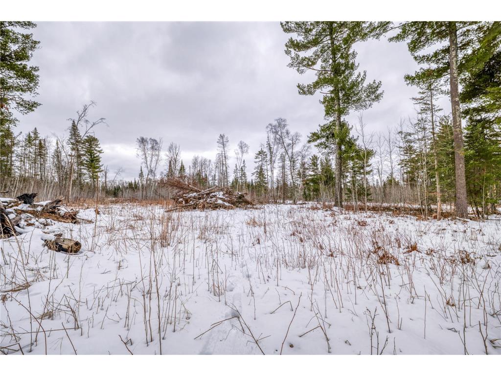 25524 Smokey Hollow Drive Helga Twp MN 56461 7054739 image19