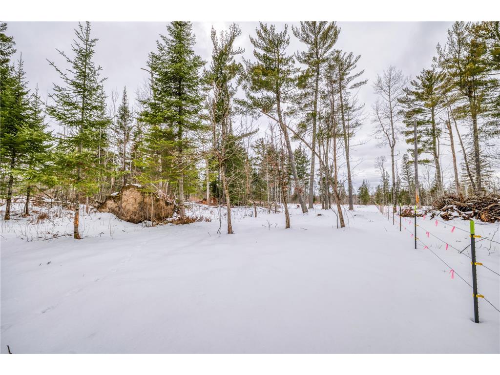 25524 Smokey Hollow Drive Helga Twp MN 56461 7054739 image20