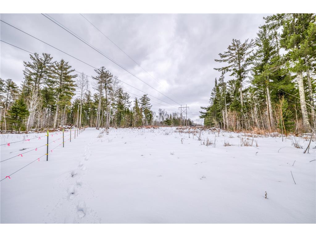 25524 Smokey Hollow Drive Helga Twp MN 56461 7054739 image21