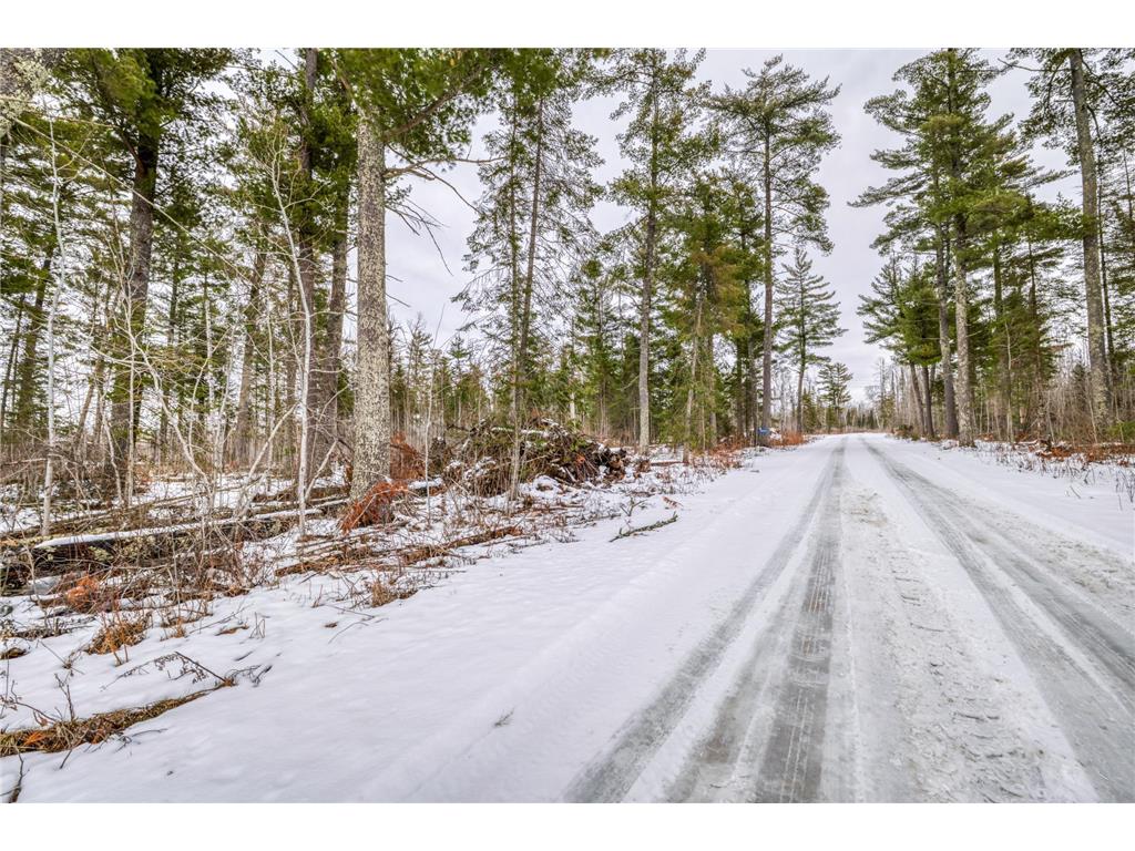 25524 Smokey Hollow Drive Helga Twp MN 56461 7054739 image23