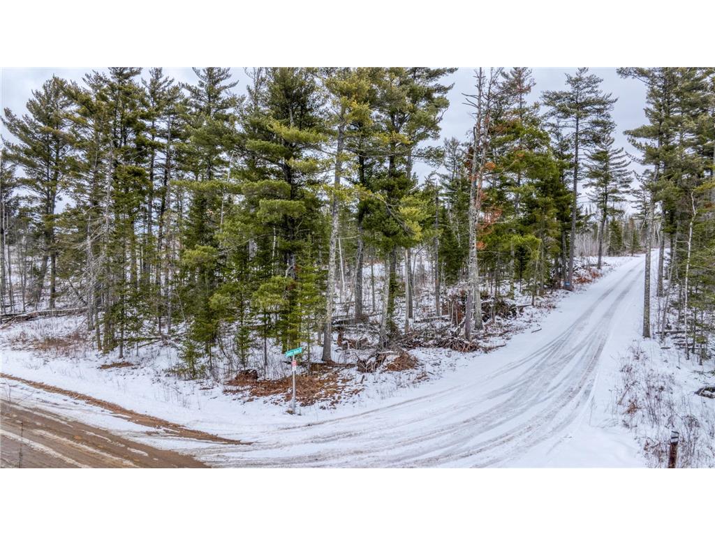 25524 Smokey Hollow Drive Helga Twp MN 56461 7054739 image5