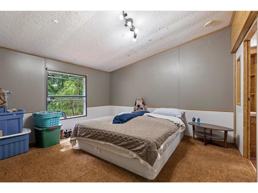 25528 Blue Bonnet Road Center Twp MN 56465 7105617 image13