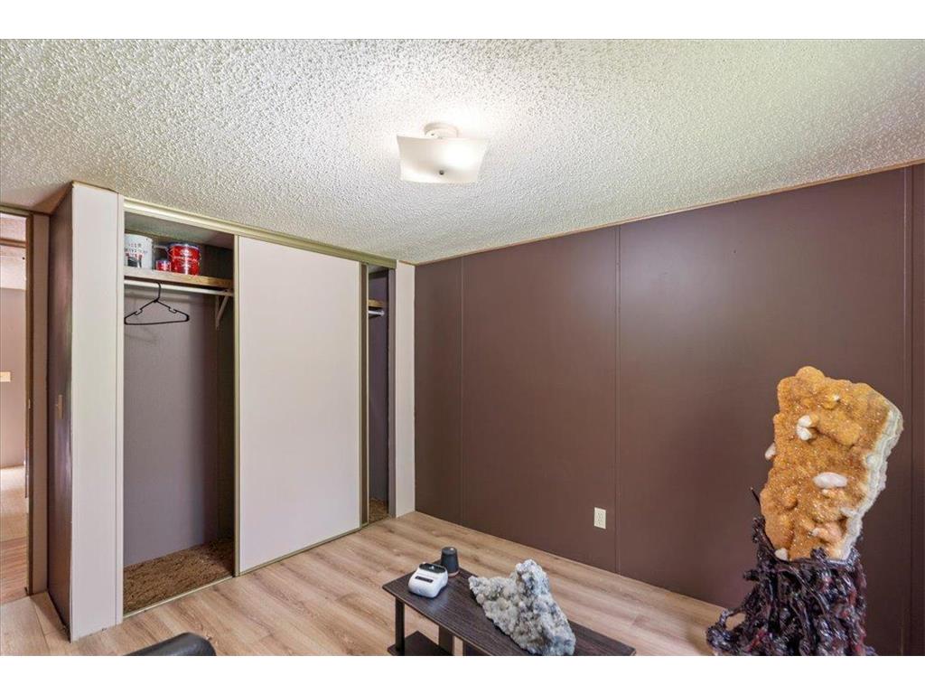 25528 Blue Bonnet Road Center Twp MN 56465 7105617 image17