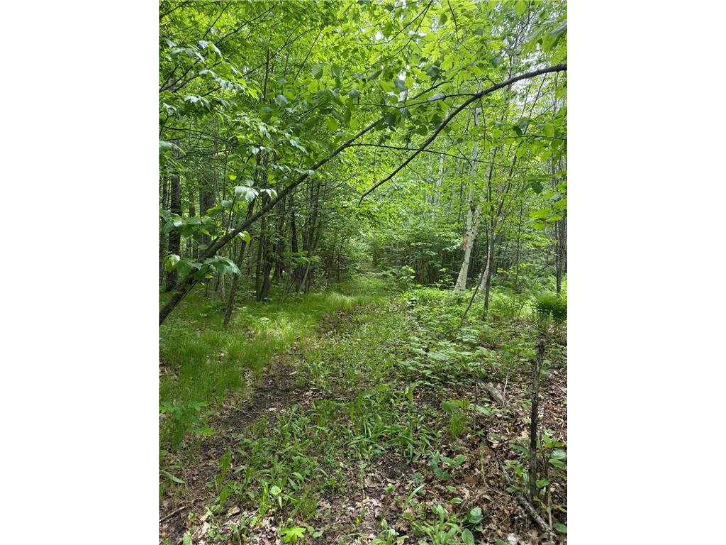 2554 Mission Road NE Ten Lake Twp MN 56601 7072096 image15