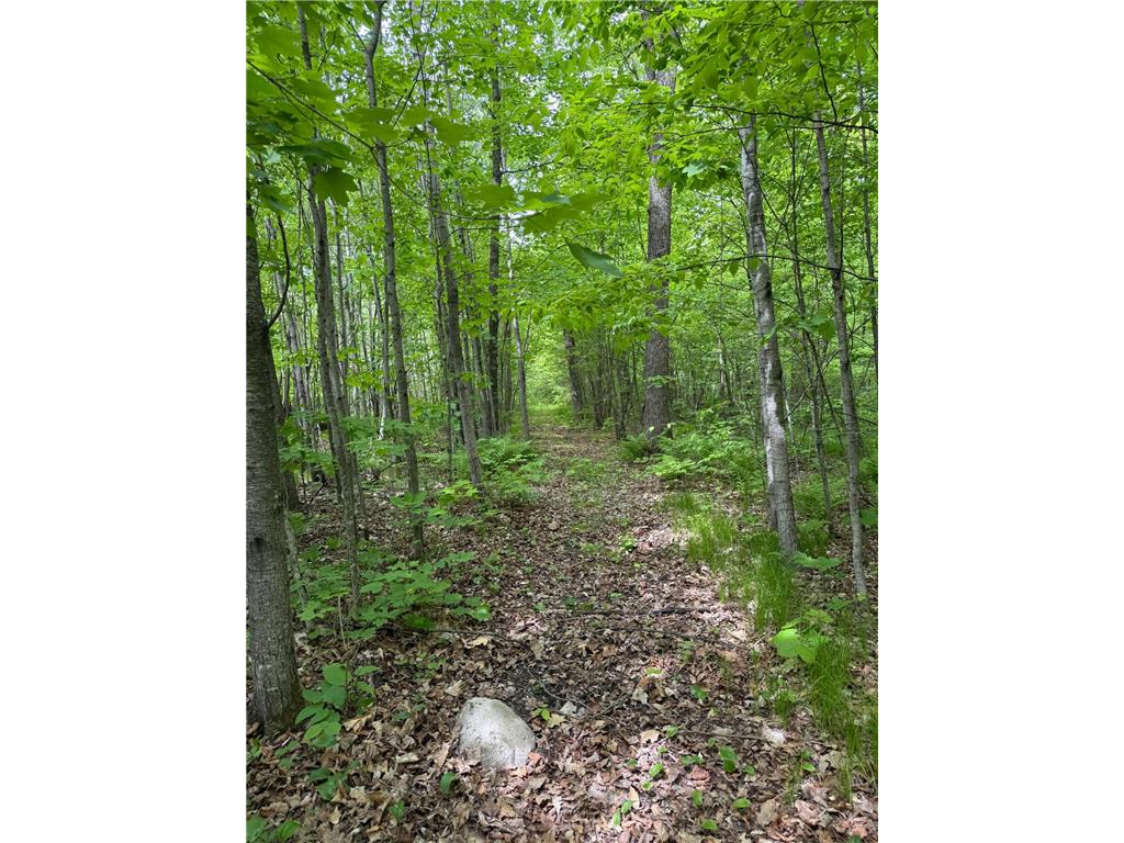 2554 Mission Road NE Ten Lake Twp MN 56601 7072096 image16