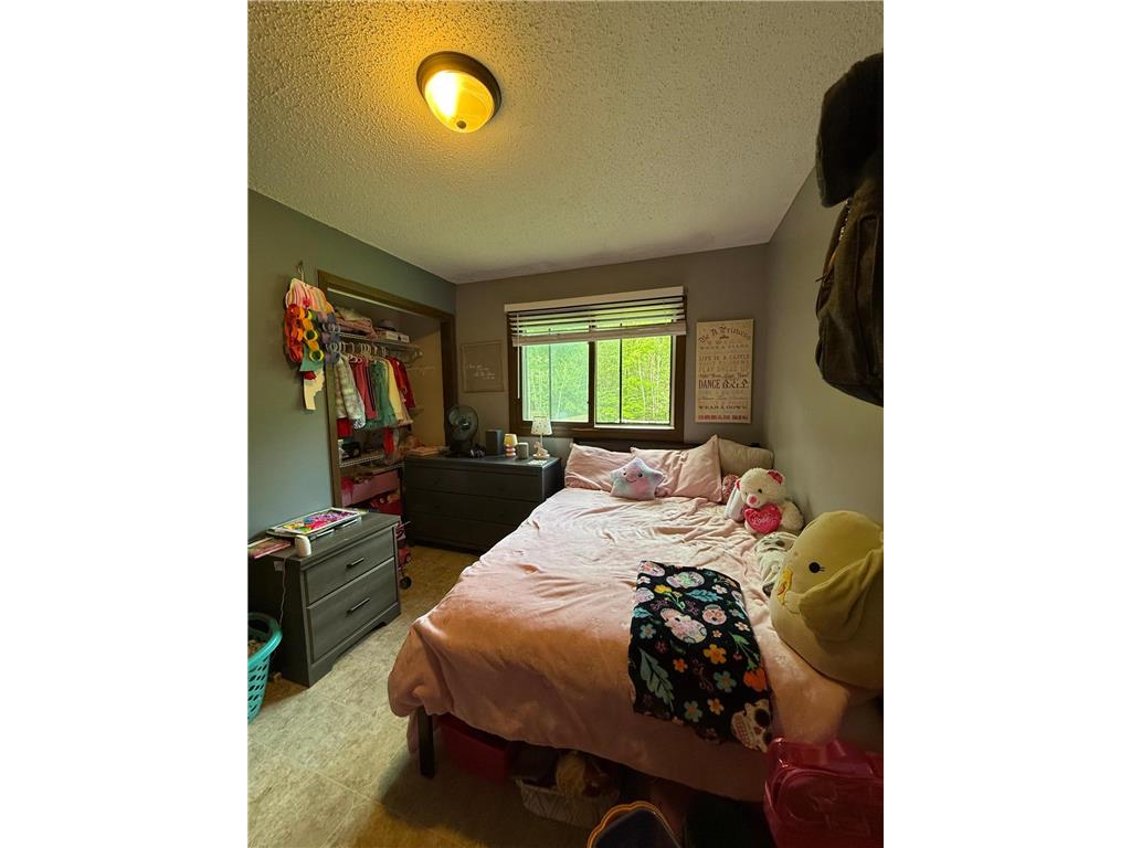 2554 Mission Road NE Ten Lake Twp MN 56601 7072096 image42