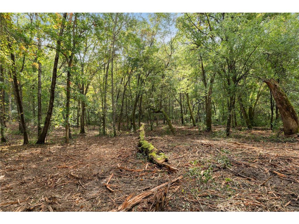 2555 Trading Post Trail S Afton MN 55001 7047385 image12