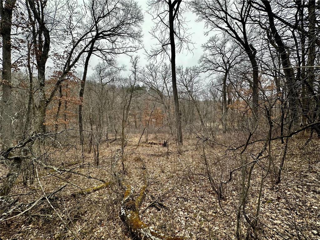 2555 Trading Post Trail S Afton MN 55001 7047385 image16