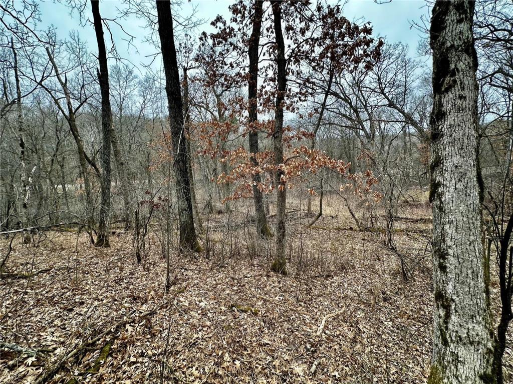 2555 Trading Post Trail S Afton MN 55001 7047385 image17