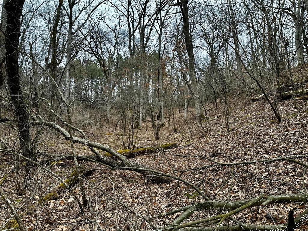 2555 Trading Post Trail S Afton MN 55001 7047385 image18