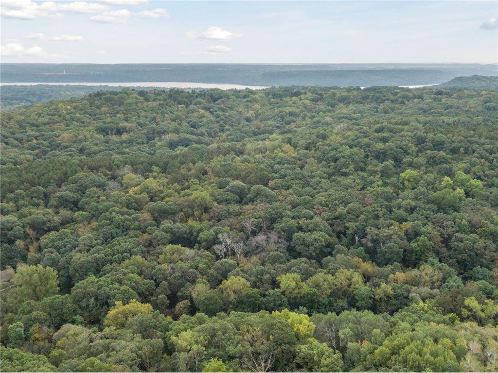 2555 Trading Post Trail S Afton MN 55001 7047385 image3