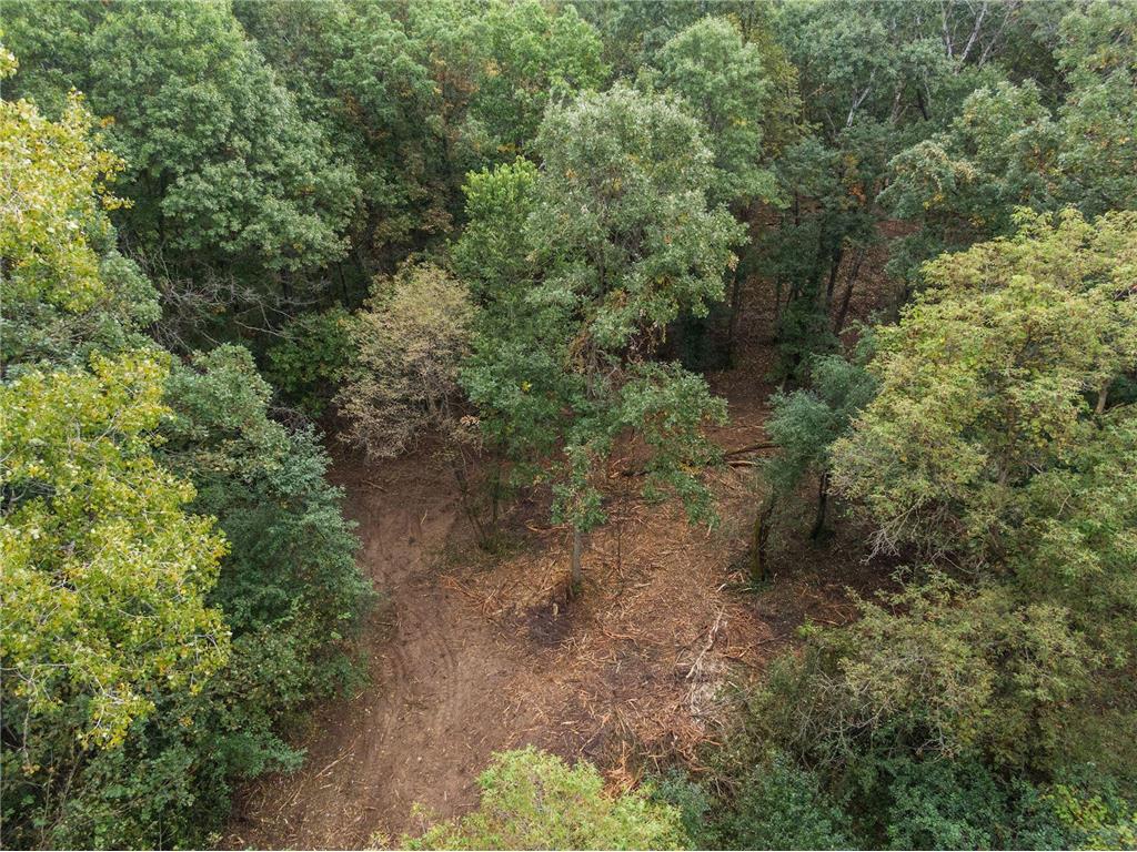 2555 Trading Post Trail S Afton MN 55001 7047385 image7