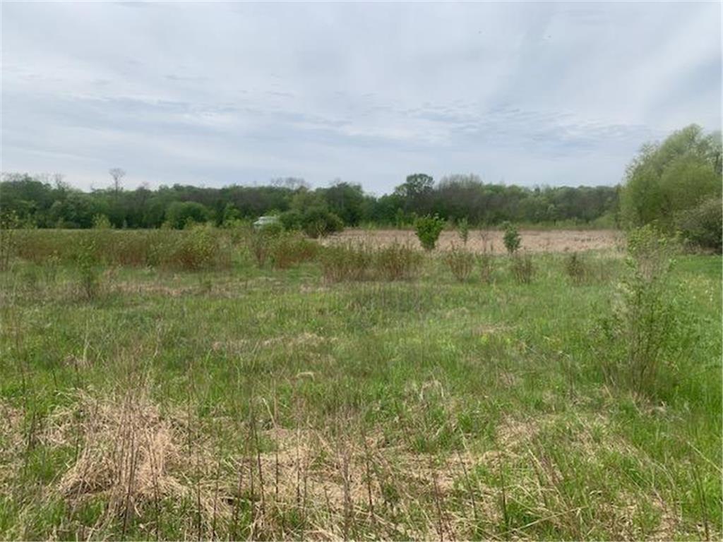 25560 Fairlawn Avenue Cedar Lake Twp MN 55088 7075142 image3